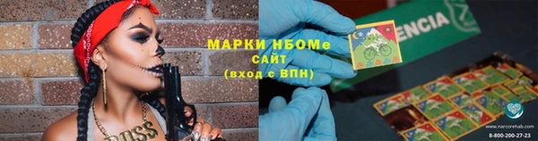 мдпв Абаза