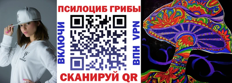 Псилоцибиновые грибы Cubensis Невельск